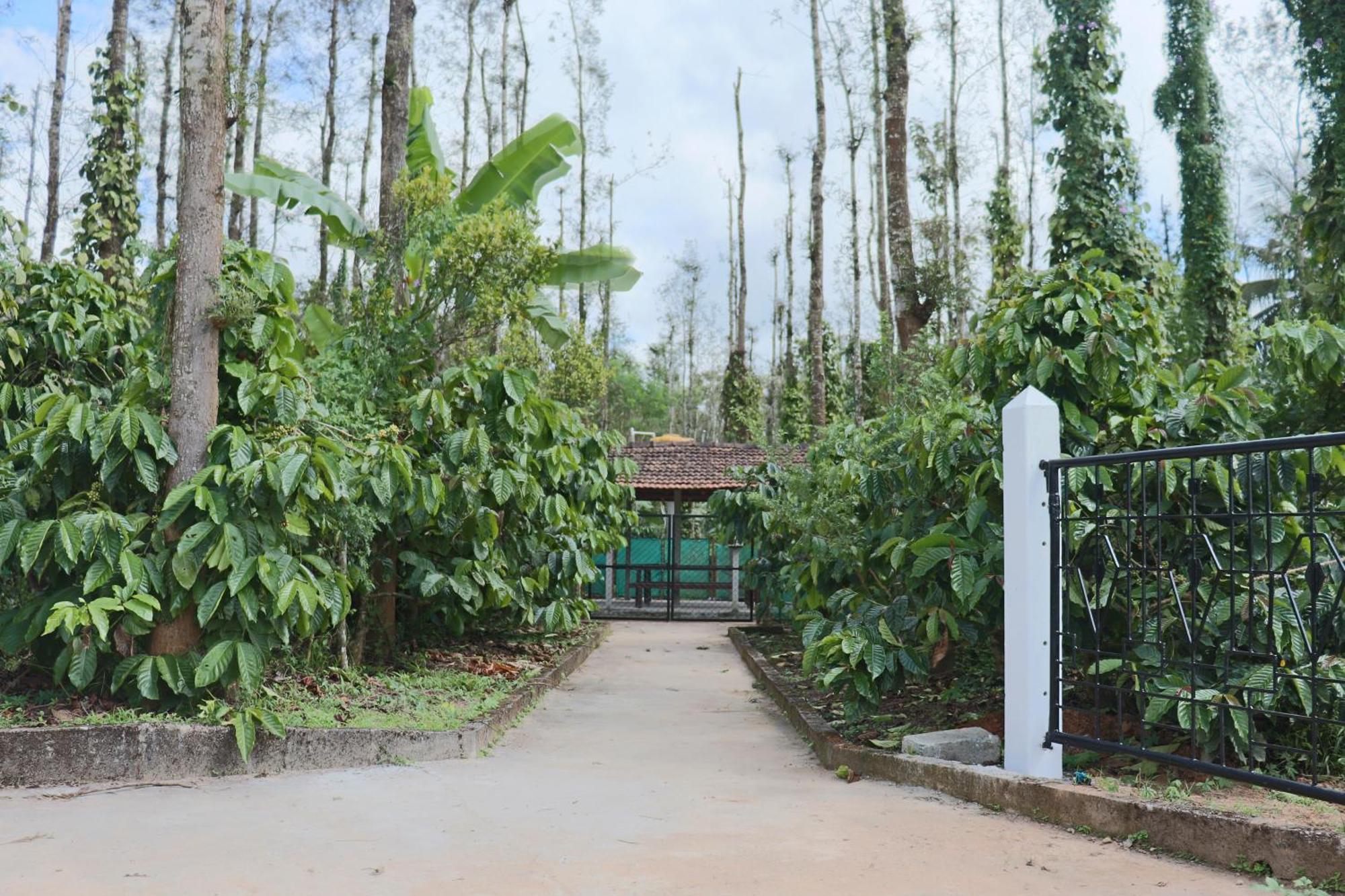 Coffeebean Villa - Unwind & Rejuvenate Szaklespur Kültér fotó